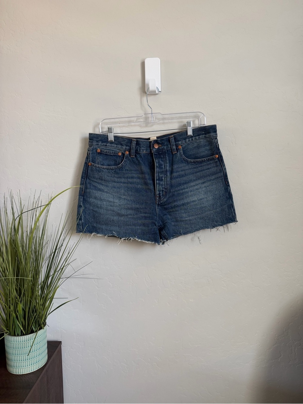 Madewell Low Slung Baggy Denim Shorts Size 27 NWT